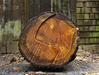 Sample image from gallery